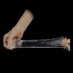 Extensie Penis Flawless Lovetoy Transparent 19 cm