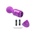 Vibrator Masaj Pretty Love Mini Stick Purple