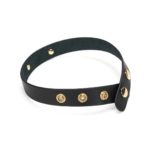 Zgarda Gold Word Choker SLUT