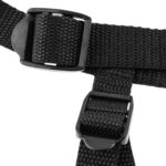 Ham Strapon Beginner Harness